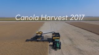 canola harvest 2017 [upl. by Alano]