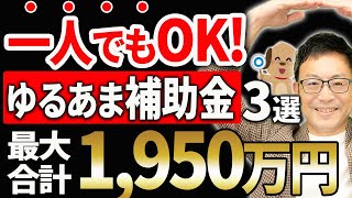 【合計最高額1950万円】一人でもOK！どんな業種でもOK！ハードルが低い補助金３選 [upl. by Akaenahs63]