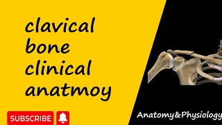 Clinical anatomy of clavicle bone  upper limb anatomy  bd chaurasia [upl. by Summers]