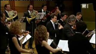 Bach Brandenburg Concerto 1 1movement [upl. by Berkin]