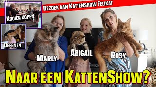 Bezoek brengen aan KATTENSHOW FELIKAT Op zoek naar een MOOIE KATER voor onze 3 POEZEN 2721 [upl. by Lotsyrk]