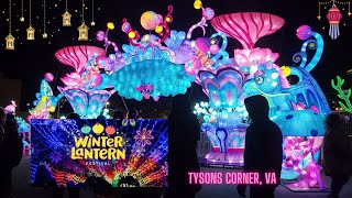 Winter Lantern Festival  McLeanTysons Corner Virginia [upl. by Ecirrehs]