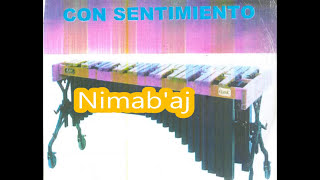 Mix de Sones con sentimientos de San Miguel BV  NBJ004 [upl. by Obidiah]