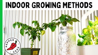 Tips For Growing Peppers Indoors  5 Methods For Beginners  Pepper Geek [upl. by Moser]