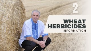 Herbicide 2 Timing in Wheat Farming Atrazine Metolachlor and More [upl. by Nettirb]