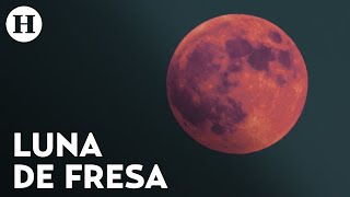 ¿Dónde ver cuándo y qué significa la Luna de Fresa de junio [upl. by Hgielyak]