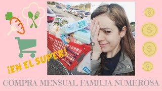 COMPRA MENSUAL DE UNA FAMILIA NUMEROSA👩👨🧑👧👶  GASTO 500 EUROS 🤔 [upl. by Merrili1]