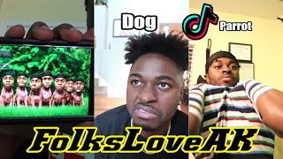 Best of FolksLoveAK Animal TikTok and Instagram Videos Compilation [upl. by Akinyt]