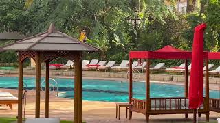 Hotel Botanico and Oriental Spa Garden  full tour Tenerife  Puerto De la Cruz [upl. by Joete]