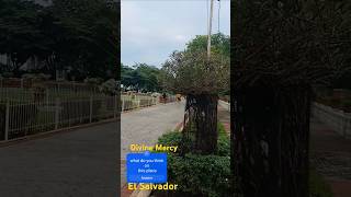 Divine Mercy at El Salvador Cagayan De Oro City travel shortsvideo [upl. by Lenox]