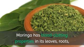 10 Benefits of Drinking Moringa Tea Everyday [upl. by Rosalba]