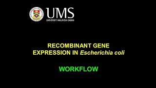 Protein Expression Workflow [upl. by Orips]