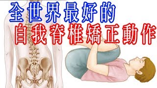 ✅【全世界最好的脊椎自我矯正】苦行自醫法已加字幕 [upl. by Golding]