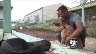 Japanese Dog Reunited with Owner [upl. by Gittel]