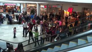 Flashmob Proposal  Bruno Mars quotMarry youquot  IPAA Take two [upl. by Ydarb]