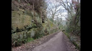 Neston Railway cutting March 25 2021 [upl. by Kcaz311]