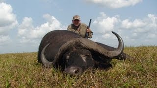 Hunting Cape Buffalo [upl. by Zink]