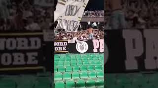 Tifosi del Palermo Intonano un Coro Contro i Rivali Catanesi  Rivalità Siciliana Accesa [upl. by Shayn]