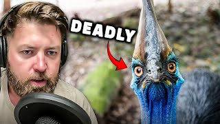 Wildlife Biologist Reacts to the Worlds Deadliest Bird Cassowary [upl. by Head]