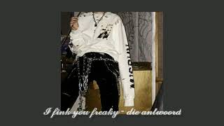 I fink you freaky  Die Antwoord slowed  reverb  bass boosted [upl. by Eachern]