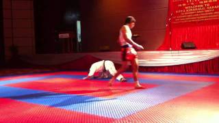 Muay Thai VS Taekwondo [upl. by Anaira]