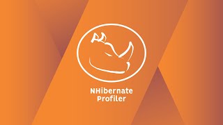 NHibernate Profiler Introduction [upl. by Licna461]