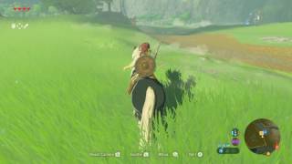 ZELDA BOTW TamingRegistering Horses [upl. by Oinotnanauj570]