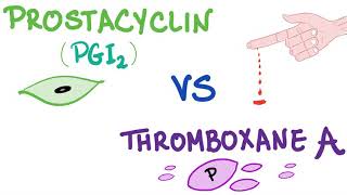 Prostacyclin PGI2 vs Thromboxane A2 TXA2  Bleeding vs Coagulation  Hematology [upl. by Naira]