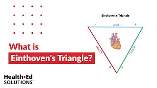 One Quick Question What is Einthovens Triangle [upl. by Demahom]