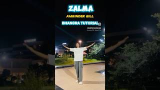 Zalma song bhangra tutorial  Amrinder gill  Day 3 newbhangra dance punjabi tutorial bhangra [upl. by Avik]