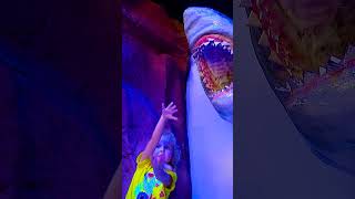 Milas SHOCKING Shark Encounter 🦈 Animals for kids kidsshorts zoo [upl. by Olympias796]