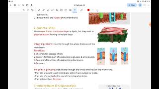 L2physioCell membraneampIntercellular communication🍓 [upl. by Hayidah]