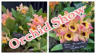 Tampa Bay Orchid Society Show and Sale 2024 [upl. by Roderic]