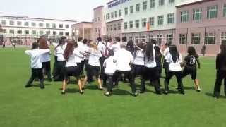 The Winchester School Class of 2014  Farewell video [upl. by Acinat75]