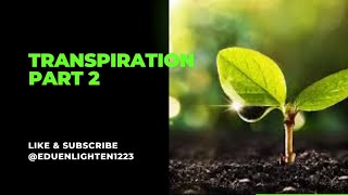 Factors affecting transpiration Adaptations to reduce transpiration Significance of transpiration [upl. by Owena70]