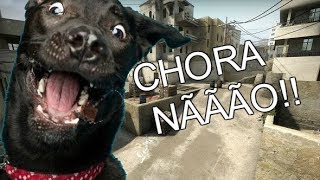 CACHORRO CHORANDO JOGANDO CSGO [upl. by Nyra]