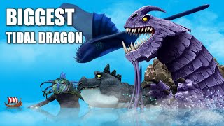 10 Biggest Tidal Class Dragons HTTYD Movies and Shows [upl. by Hallimaj]