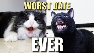 Talking Kitty Cat 38  Worst Date Ever [upl. by Adnolohs]