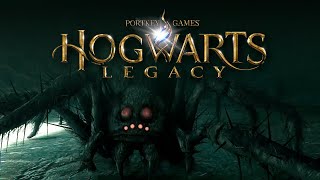 FLIPENDO  HOGWARTS LEGACY  18 [upl. by Jotham]