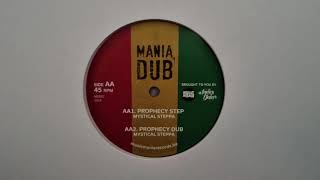 Red Gold amp green  Vibronics  Dub  Vibronics Mania Dub [upl. by Dent]