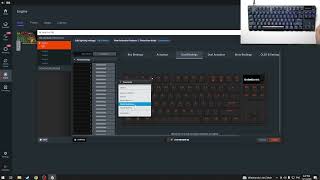 How to Set Dual Bindings on STEELSERIES Apex Pro TKL Gen 3 [upl. by Rillings]