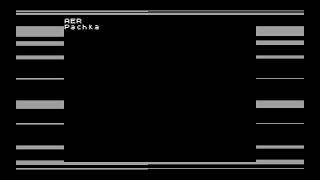 Pachka  AER ZXSpectrum Demo [upl. by Yort]