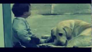 BEST FRIENDS FOREVER  ♥ Dog Befriends Little Boy With Down Syndrome [upl. by Demetra]