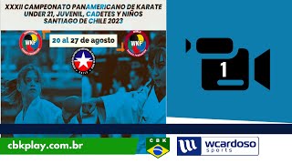 Campeonato Panamericano de Karate Sub 21 cadete junior – Santiago de Chile 2023 [upl. by Gotthard]