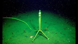 7 Eerie Sounds Recorded in the Deep Ocean [upl. by Marty]