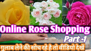 How To Grow Online Rose Plant नर्सरी से मंगाए गुलाब को कैसे लगाएं onlineshopping rose gulab [upl. by Airemat278]