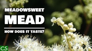 Meadowsweet Mead Tasting  Something Surprising Happened [upl. by Fezoj]