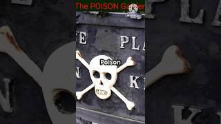 Mysterious Facts I The Poison Garden shortsfeed shortvideo factsmysteriousstorymystery [upl. by Rhett536]