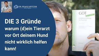 DIE 3 Gründe warum dein Tierarzt vor Ort deinem Hund nicht wirklich helfen kann [upl. by Abbot]