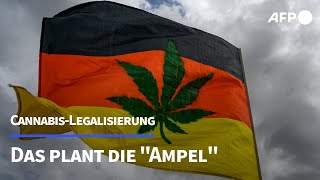 CannabisLegalisierung Das plant die quotAmpelquot  AFP [upl. by Zetrac]